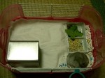 '05 blog 1407.JPG