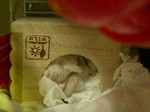 '05 blog 1425.JPG