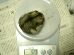 '05 blog 1481.JPG