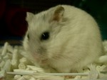 '05 blog 1540.JPG