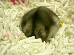 '05 blog 1709.JPG