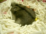 '05 blog 1710.JPG