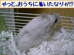 '05 blog 2212.JPG