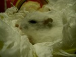 '05 blog 2263.JPG