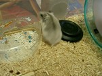 '05 blog 2281.JPG