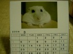 '05 blog 2331.JPG