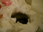 '06 blog 0017.JPG