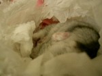 '06 blog 0022.JPG