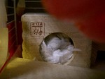 '06 blog 0025.JPG