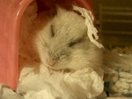 '06 blog 0030.JPG