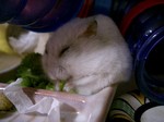 '06 blog 0032.JPG