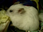 '06 blog 0034.JPG