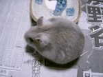 '06 blog 0059.JPG