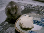 '06 blog 0060.JPG