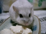 '06 blog 0066.JPG