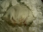 '06 blog 0083.JPG
