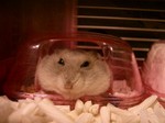 '06 blog 0093.JPG