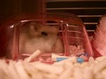 '06 blog 0096.JPG