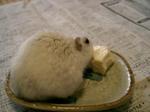 '06 blog 0177.JPG