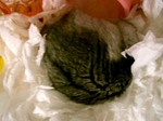 '06 blog 0211.JPG