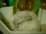 '06 blog 0215.JPG