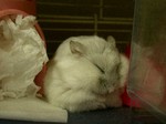 '06 blog 0217.JPG