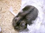 '06 blog 0228.JPG