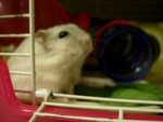 '06 blog 0248.JPG