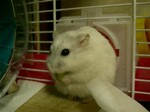 '06 blog 0304.JPG