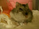 '06 blog 0311.JPG