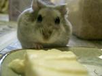 '06 blog 0322.JPG