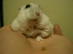 '06 blog 0401.JPG