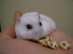 '06 blog 0404.JPG