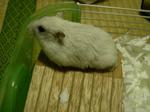 '06 blog 0416.JPG