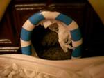 '06 blog 0421.JPG