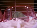 '06 blog 0438.JPG