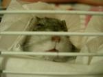 '06 blog 0518.JPG