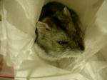 '06 blog 0519.JPG