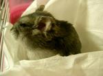 '06 blog 0523.JPG