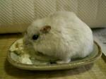 '06 blog 0566.JPG