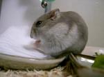 '06 blog 0643.JPG