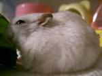 '06 blog 0644.JPG