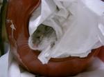 '06 blog 0654.JPG