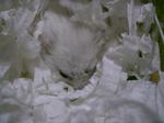 '06 blog 0668.JPG