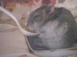'06 blog 0727.JPG