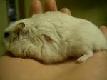 '06 blog 0733.JPG