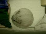 '06 blog 0848.JPG