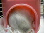 '06 blog 0857.JPG