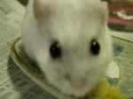 '06 blog 0869.JPG