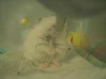 '06 blog 0892.JPG